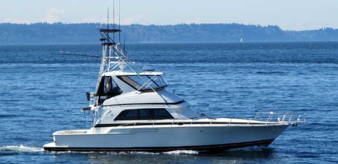 used bertram yachts for sale